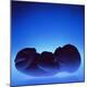Premium Photographic Print