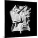 Premium Photographic Print