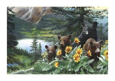 New Discoveries Kevin Daniel Art Print Poster
