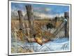 Premium Giclee Print