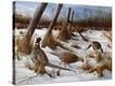Stretched Canvas Print