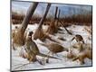 Premium Giclee Print