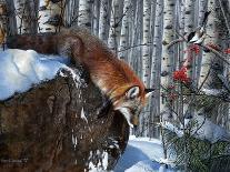 Fox in Winter-Kevin Daniel-Art Print