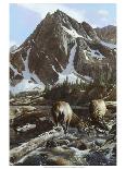 Teton Majesty-Kevin Daniel-Art Print