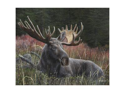 New Discoveries Kevin Daniel Art Print Poster