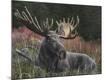 Premium Giclee Print