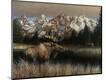 Premium Giclee Print