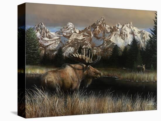 Stretched Canvas Print, , large