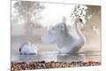 Premium Photographic Print