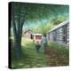 Stretched Canvas Print
