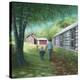 Stretched Canvas Print