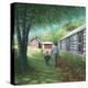 Stretched Canvas Print