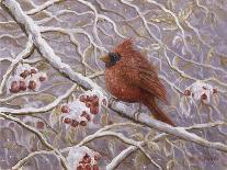Cardinal and Wild Berries-Kevin Dodds-Giclee Print