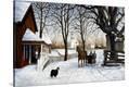 Stretched Canvas Print