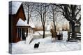 Stretched Canvas Print