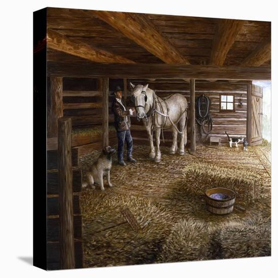 Stretched Canvas Print, , large