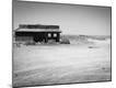 Photographic Print