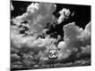 Photographic Print