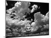 Photographic Print