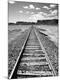 Premium Photographic Print