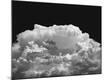 Premium Photographic Print