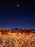 Sandia Mountains Desert Twilight Landscape, New Mexico-Kevin Lange-Framed Photographic Print