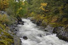 Canada, British Columbia, Vancouver Island. Harris Creek Flowing Through Harris Canyon in Fall-Kevin Oke-Photographic Print