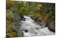 Photographic Print