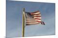 Premium Photographic Print