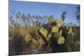 Premium Photographic Print