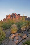USA, Arizona, Lost Dutchman State Park. Barrel Cactus and Superstition Mountains-Kevin Oke-Photographic Print