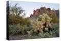 Stretched Canvas Print