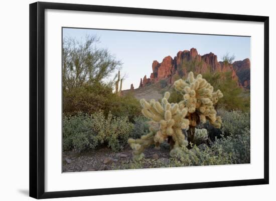 Photographic Print, , large