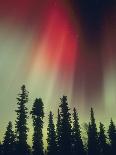 Aurora Borealis, Fairbanks Area, Alaska, USA-Kevin Schafer-Photographic Print