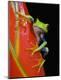 Premium Photographic Print