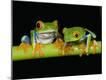Premium Photographic Print