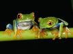 Premium Photographic Print