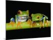 Premium Photographic Print