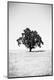 Photographic Print