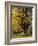 Kew Autumn-Charles Bowman-Framed Photographic Print