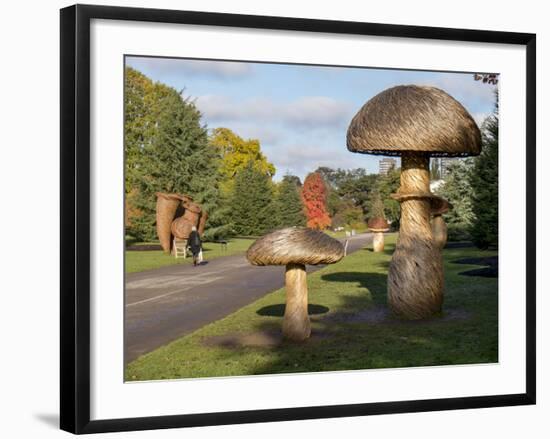 Kew Fungi-Charles Bowman-Framed Photographic Print