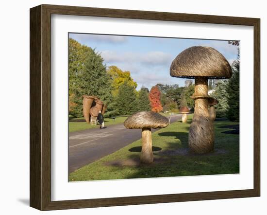 Kew Fungi-Charles Bowman-Framed Photographic Print