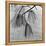 Kew Gardens, Greater London.Twigs and Long Needles on a Pine Tree at Kew Gardens-John Gay-Framed Premier Image Canvas