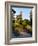 Kew Gardens Pagoda-Charles Bowman-Framed Photographic Print