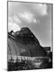 Photographic Print