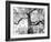 Kew Gardens-Craig Roberts-Framed Photographic Print