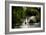 Kew Lake 1-Charles Bowman-Framed Photographic Print