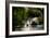 Kew Lake 1-Charles Bowman-Framed Photographic Print