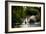 Kew Lake 1-Charles Bowman-Framed Photographic Print