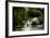 Kew Lake 1-Charles Bowman-Framed Photographic Print